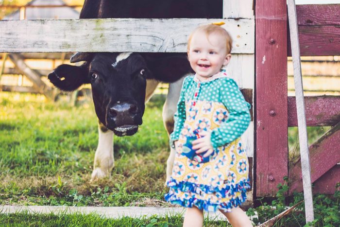 a young girl smiles next to a cow behind a fence leaning down to see her