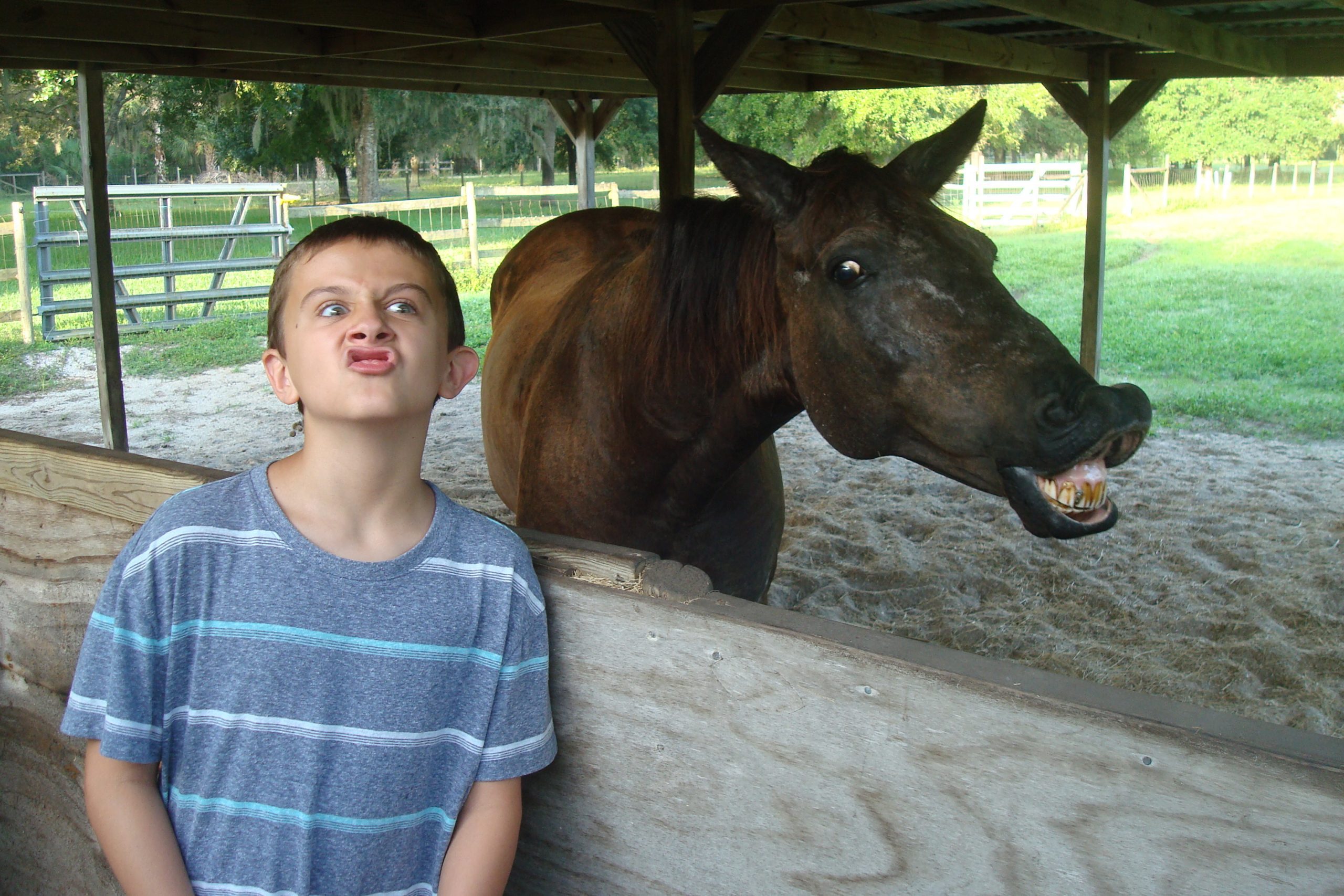 a yound boy and horse pose for the camera and both make funny faces