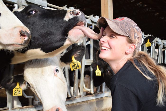 a cow licks a woman in the face