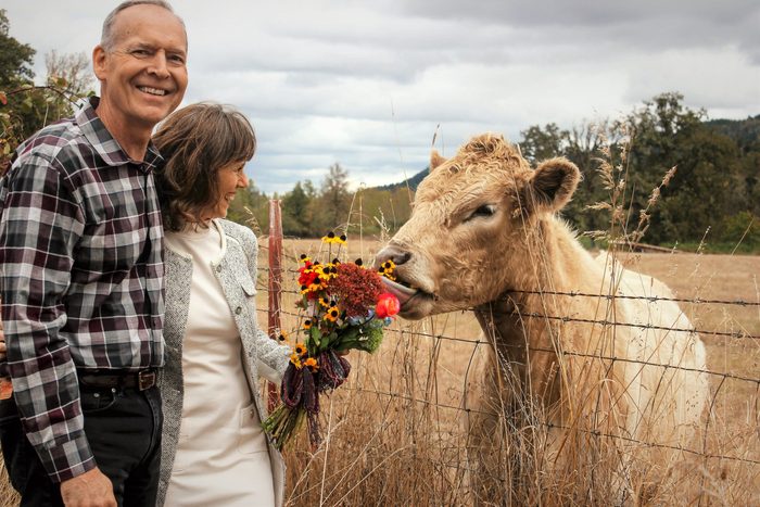 a couple stands near a cow; the cow sniffs the bouquet of flowers in the woman's hands