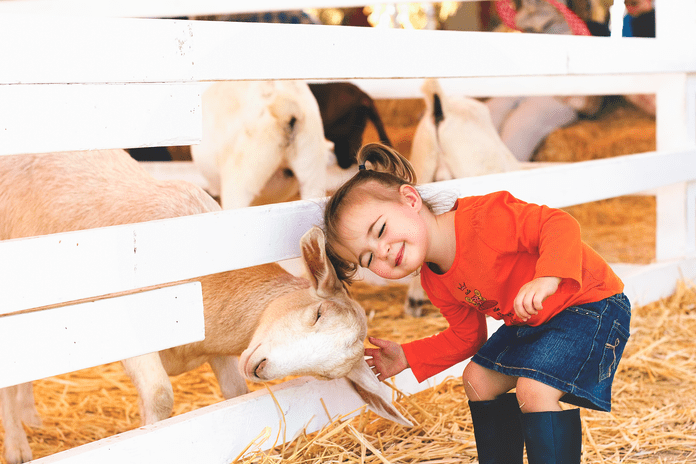 65 Cute Farm Animal Photos You Need to See | Reader's Digest