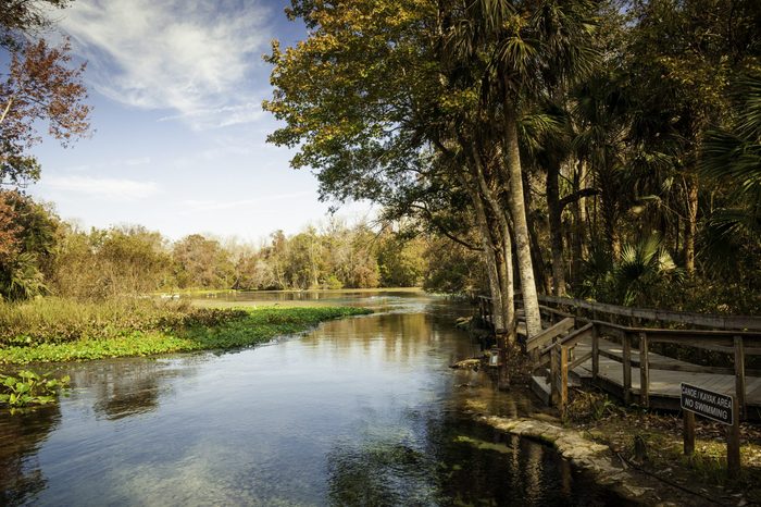 Wekiva Springs in Florida in the Fall.