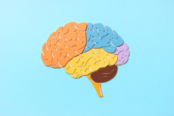 paper brain on blue background