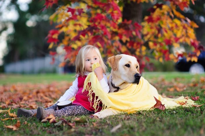 Outdoor portrait of a cute little child, a baby or toddler girl with her dog, a yellow labrador sitting on the ground in a park with yellow and red autumn fall leaves in the background