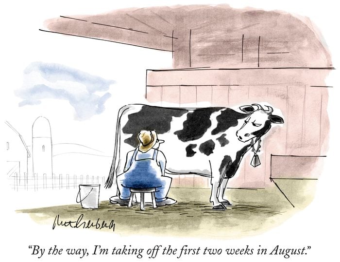 cow wants to take vacation days cartoon