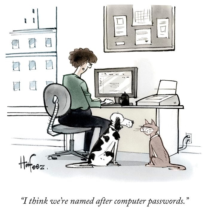 dog and cat think they're named after passwords cartoon