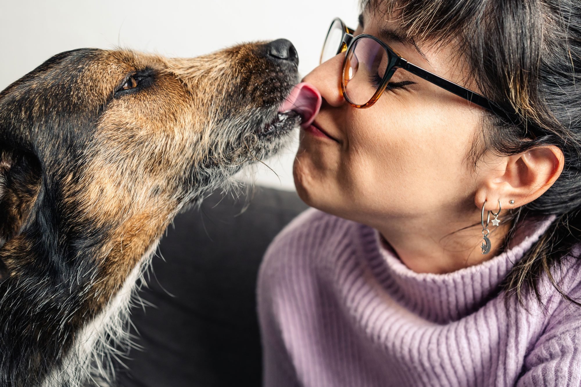 Why Do Dogs Lick You—and How Can You Stop It?