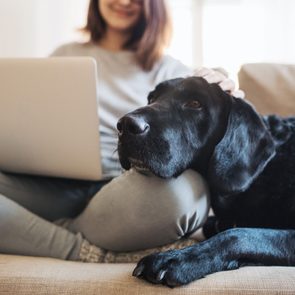 a dog and a woman sit on the couch together in an apartment