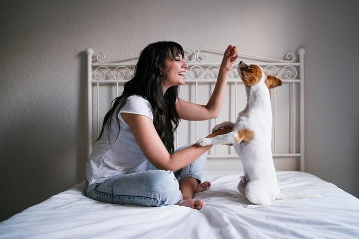 young caucasian woman on bed with her cute small dog playing and giving him treats. Love for animals concept. Lifestyle indoors