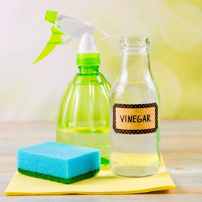 water spray bottle vinegar sponge