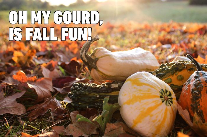gourd halloween pun
