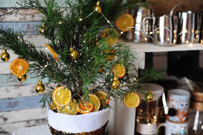 Small Christmas tree juniper in a pot. Decorated with tiny golden balls, dehydrated slices of citrus and light garland