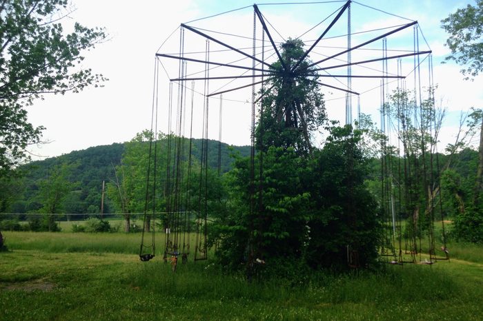 Old carnival ride with swings is overgrown with weeds
