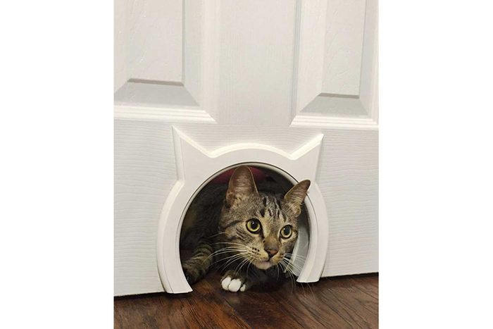cat peeking through the cat shaped hole in a door