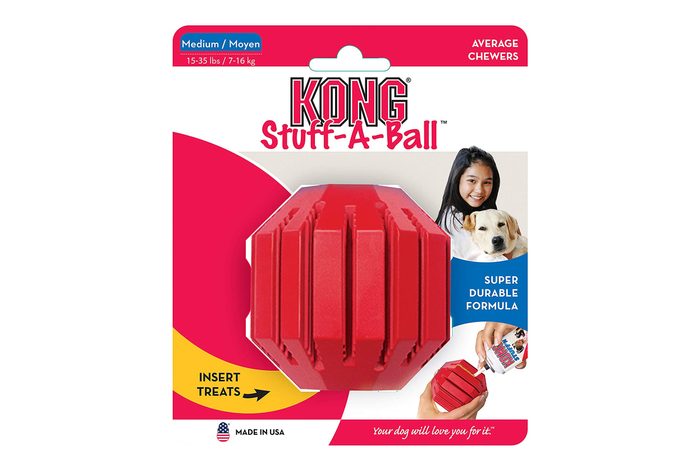 Stuff-A-Ball dog toy