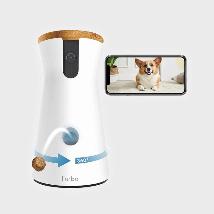Best Smart Device For Pet Owners