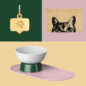 50 Best Gifts For Cat Lovers And All Feline Fans