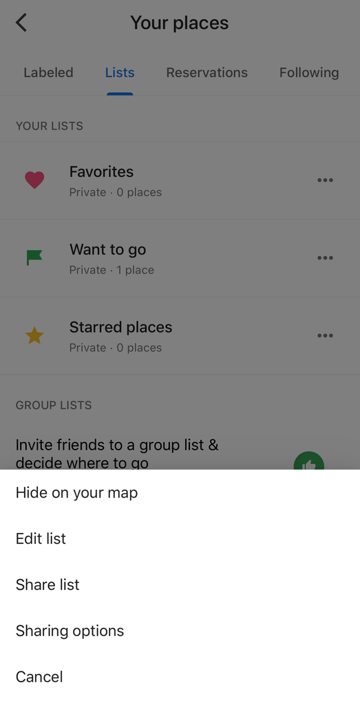 google maps share list