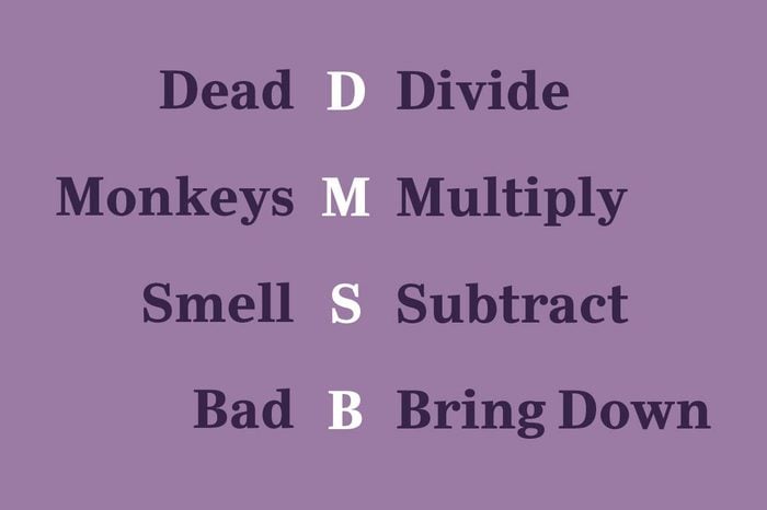 long division mnemonic device