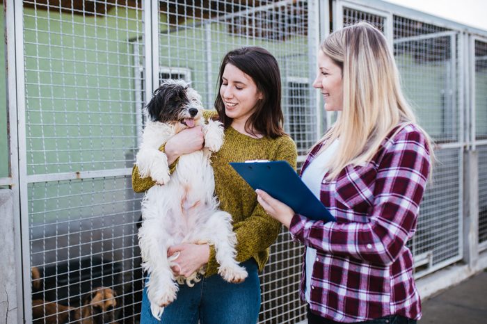 Young woman with worker choosing which dog to adopt from a shelter.