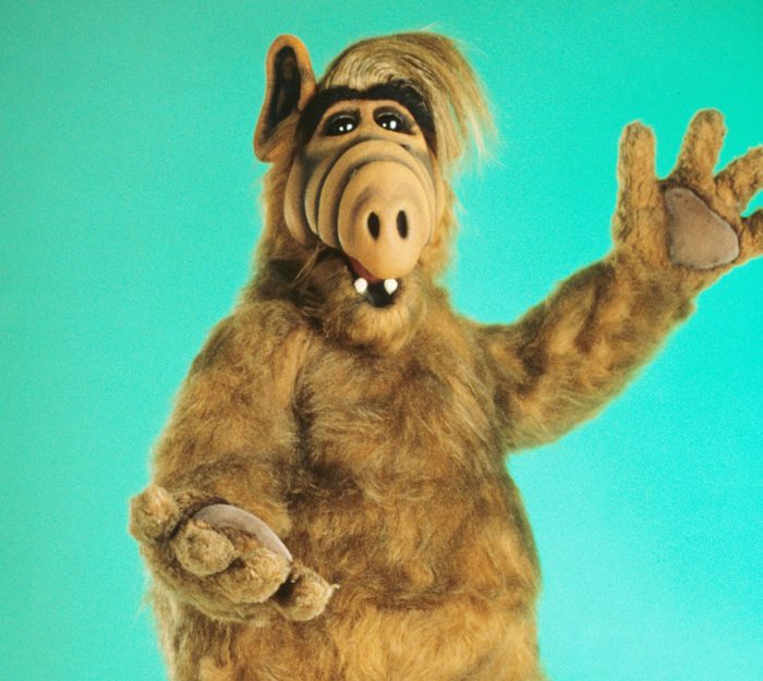 Editorial use only. No book cover usage. Mandatory Credit: Photo by Nbc/Kobal/Shutterstock (5877502f) Alf (1986-1990) Alf - 1986-1990 NBC USA Television Alien Life Form / A.L.F.