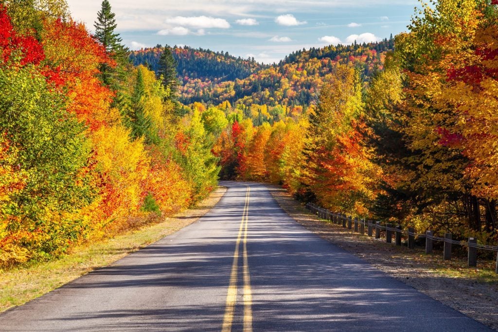 Why Do Leaves Change Color in the First Place? | Reader's Digest