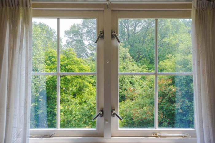 Beautiful cozy window with green forest view and white curtains. sunny day