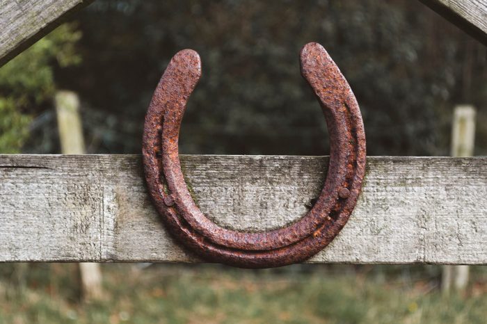 Rusty old good luck horseshoe nailed to a wooden gate.