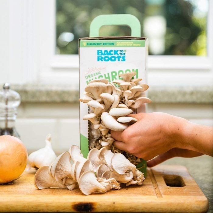Back to the Roots Organic Mushroom Farm Gardening Kit