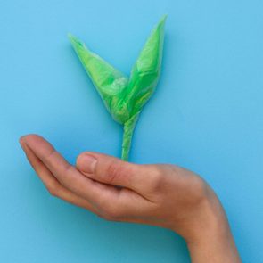 Hand holding green sprout made from plastic disposable packages on blue background. Save the world, creative, environment pollution or World Earth Day concept. Top view