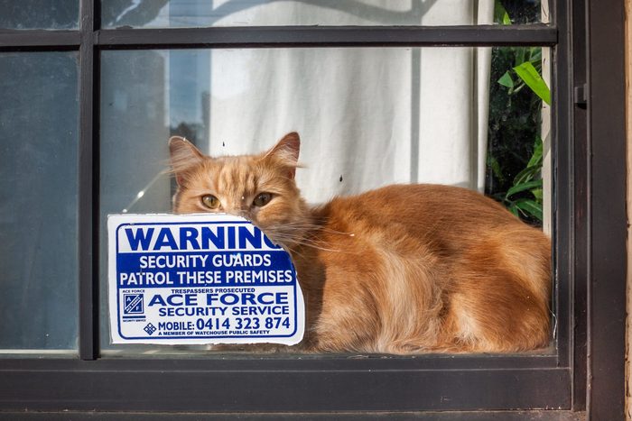 home security sticker