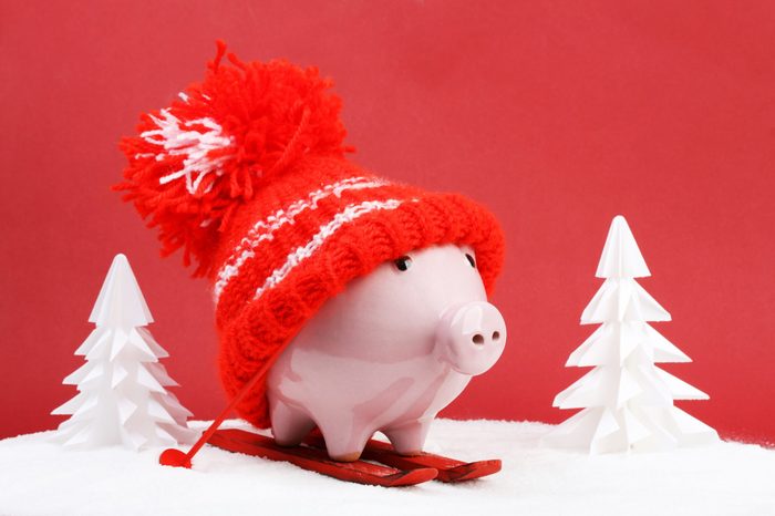 Piggy box with red hat with pompom standing on red ski and ski sticks on snow and around are snowbound trees on red background