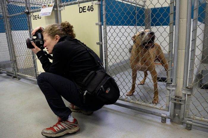 photographer in dog shelter