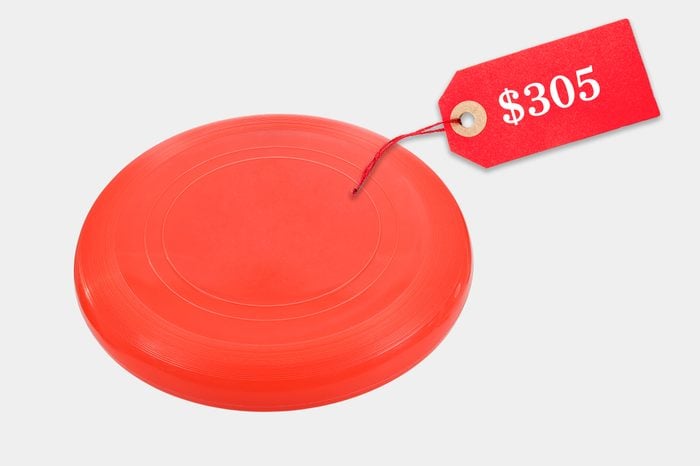 unreasonably expensive frisbee