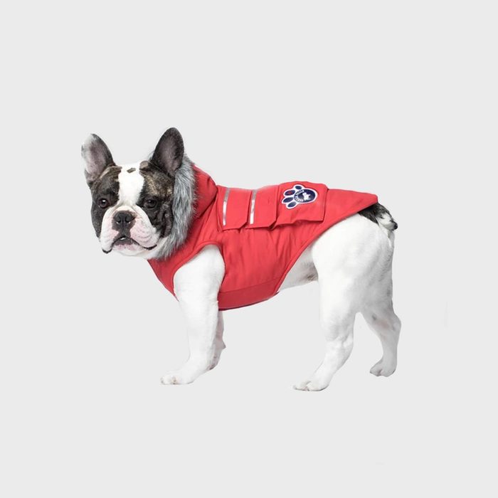 Canada Pooch Everest Explorer Dog Jacket