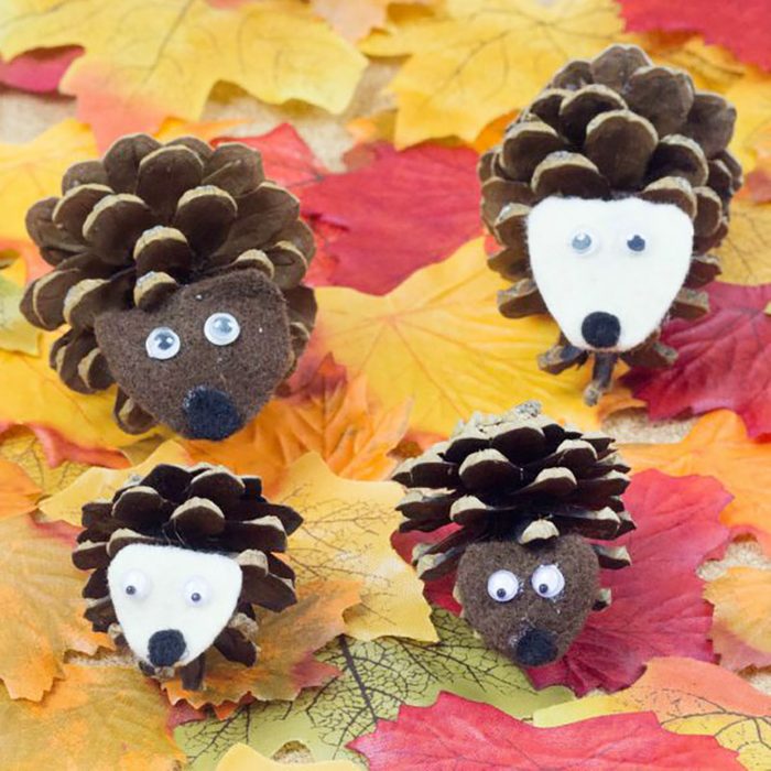 Pinecone Hedgehog for thanksgiving