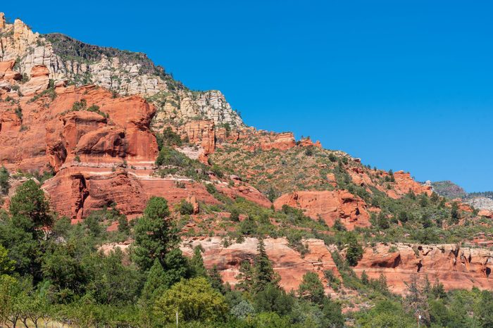 Slide Rock State Park low angle landscape of trees and red rock formations on a hillside