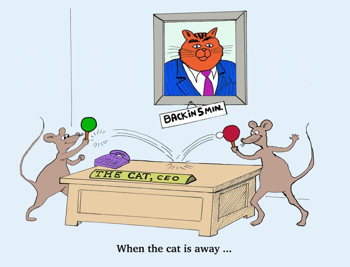 Cartoon Cats All Cat Lovers Will Appreciate | Reader's Digest