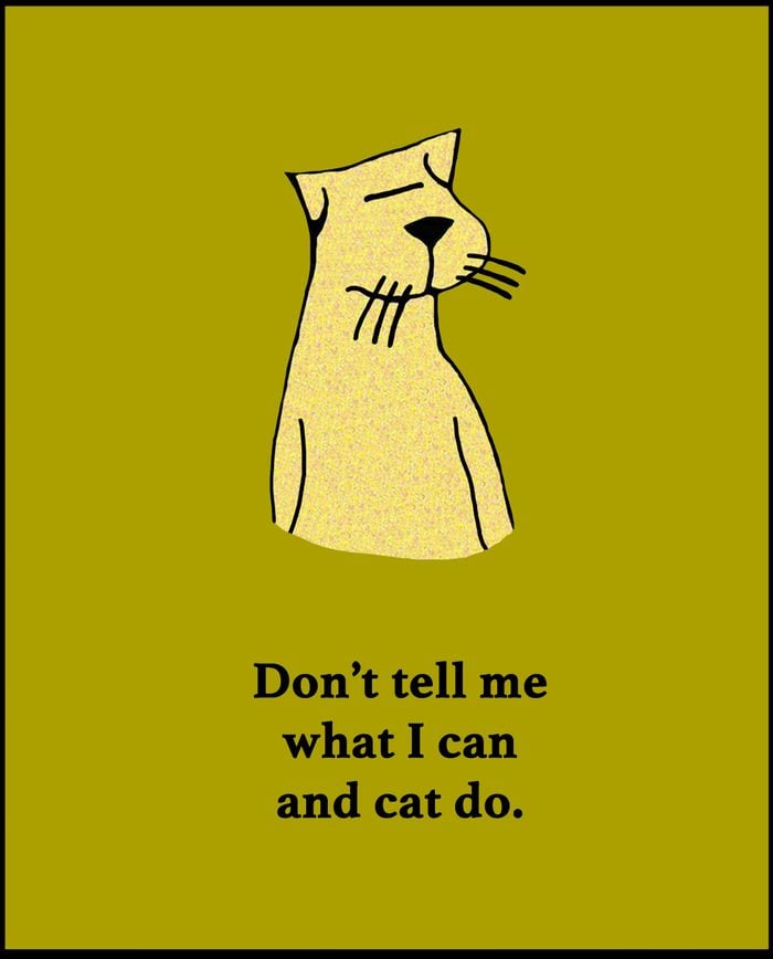 Cartoon illustration of a yellow cat and a play on words about what the cat can and 'cat' do.