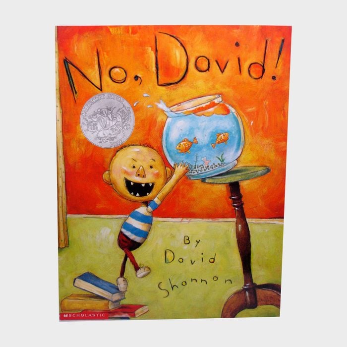 No David By David Shannon Children's Book