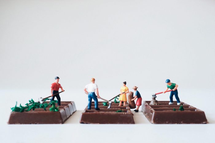 Close up miniature people farmer group on chocolate bar.