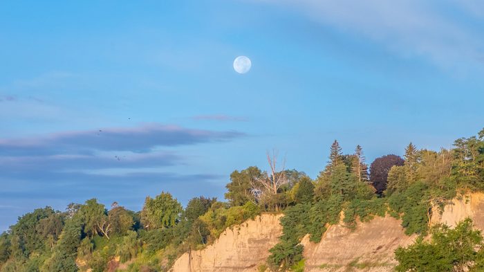 The sand cliffs, beach, green trees and vegetation of the Scarborough Bluffs escarpment on lake Ontario in Toronto, on a sunny summer fall autumn day, with clouds and bright moon in the blue sky.