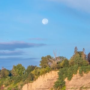 The sand cliffs, beach, green trees and vegetation of the Scarborough Bluffs escarpment on lake Ontario in Toronto, on a sunny summer fall autumn day, with clouds and bright moon in the blue sky.