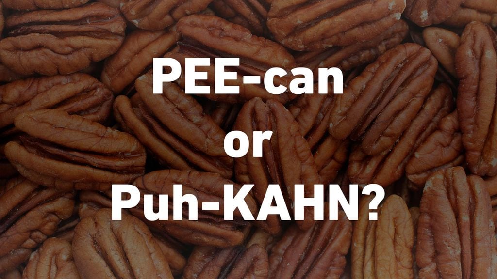 close up full frame unshelled pecans texture with text that reads: Pee-can or Puh-kahn?