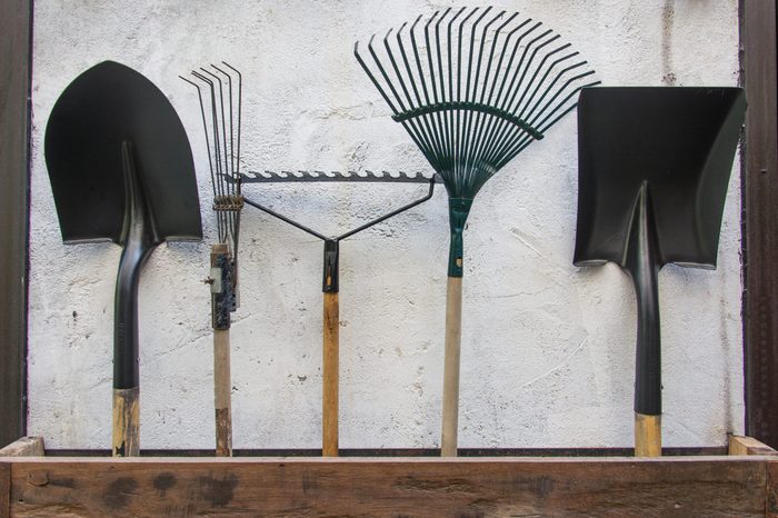 gardening tools, spade, fork and rake on cement wall ,garden tools concept.