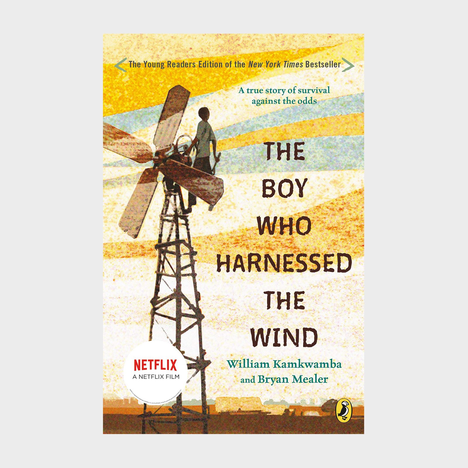 The Boy Who Harnessed The Wind By William Kamkwamba And Bryan Mealer Children's Book