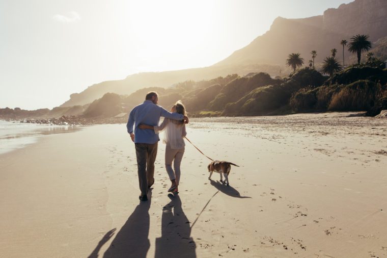 Subrendusi pora pasivaikščioja paplūdimyje su savo šunimi.  Mėgstančios subrendusios poros paplūdimyje su šunimi vaizdas iš galo.