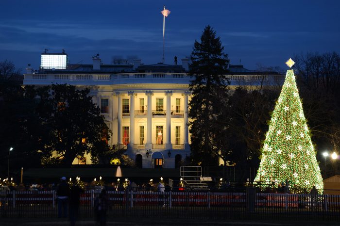 The White House in Christmas - Washington DC, United States 