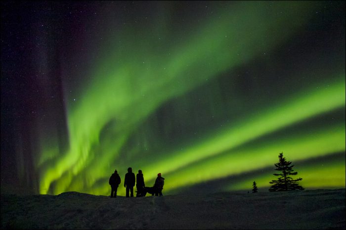 northern lights alaska lodge 