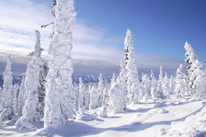 alaska scenery winter snow